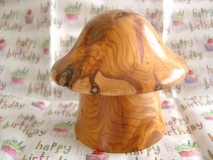 mushroom chuck 002