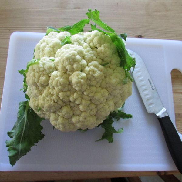 Cauli