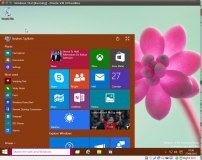 windoze10