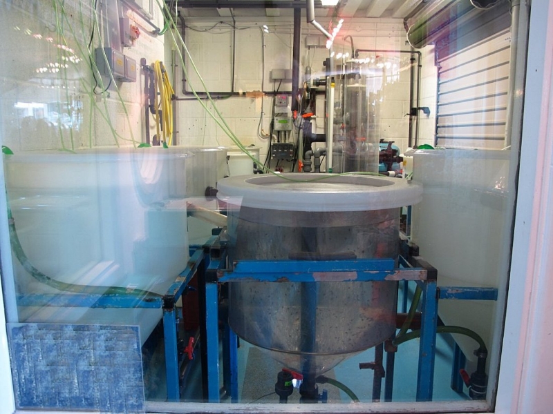 Tizer's Mystery Object 29/06/15