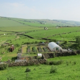 Garden at lbh