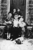 Demaine family