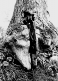 MYSTERY OBJECT 549