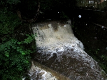 Butts Beck 280715