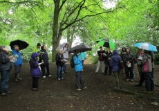 walk launch 4