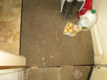 SHED 05  280715