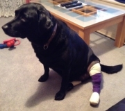 Maz patient