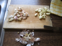 Garlic 091815