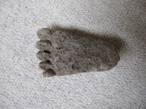 Tizer's Mystery Object 210815