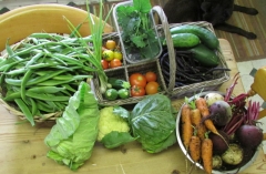 pickings