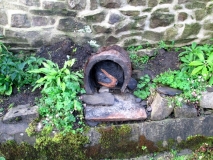 Valley Gardens 02 260815