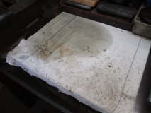 SHED 04  250815