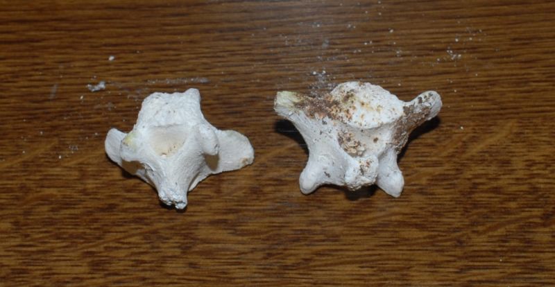 Mystery objects 130