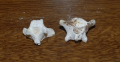 Mystery objects 130