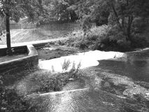 Flood04clough