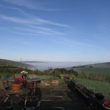 Morning mist