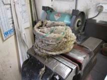 SHED 03  160915