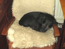 Jack 280915