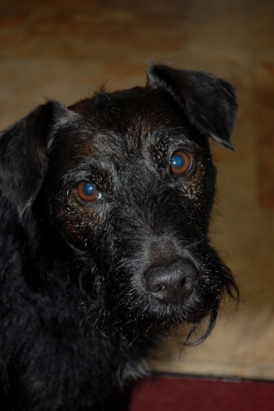 Jack 02 07082012