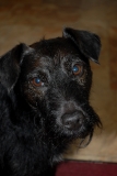 Jack 02 07082012